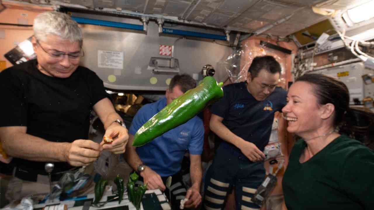 Astronauts taste pepper for first time in space as experiment takes off